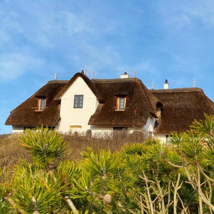 Neue Dependancen auf Föhr und in Rantum König Appartement Sylt