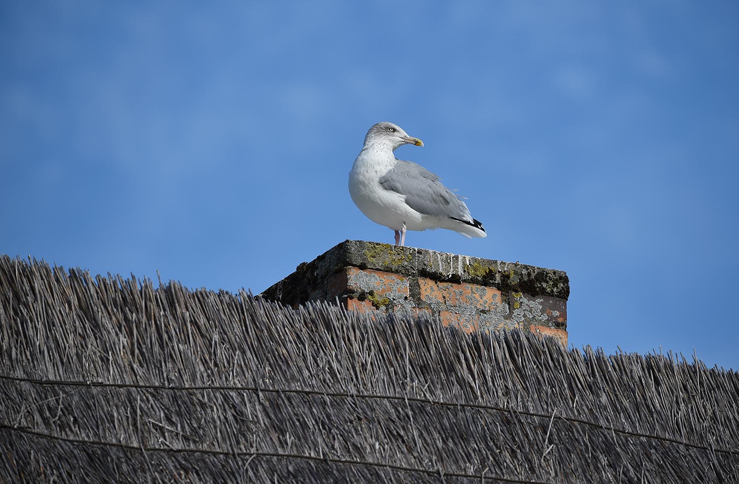 Richtig heizen im Winter