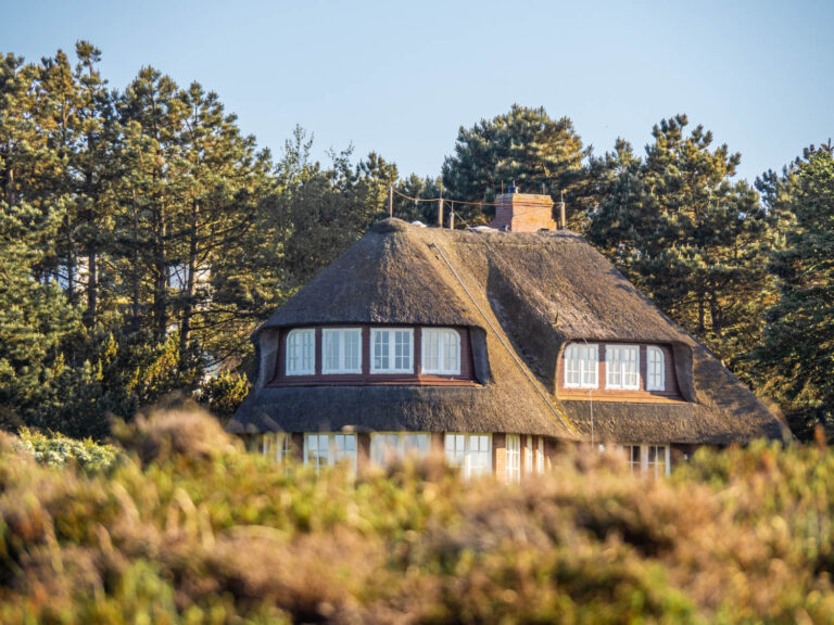 Reetdachhaus Makler oder Onlineplattform