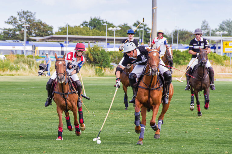 König Sylt beim Poloturnier 2015