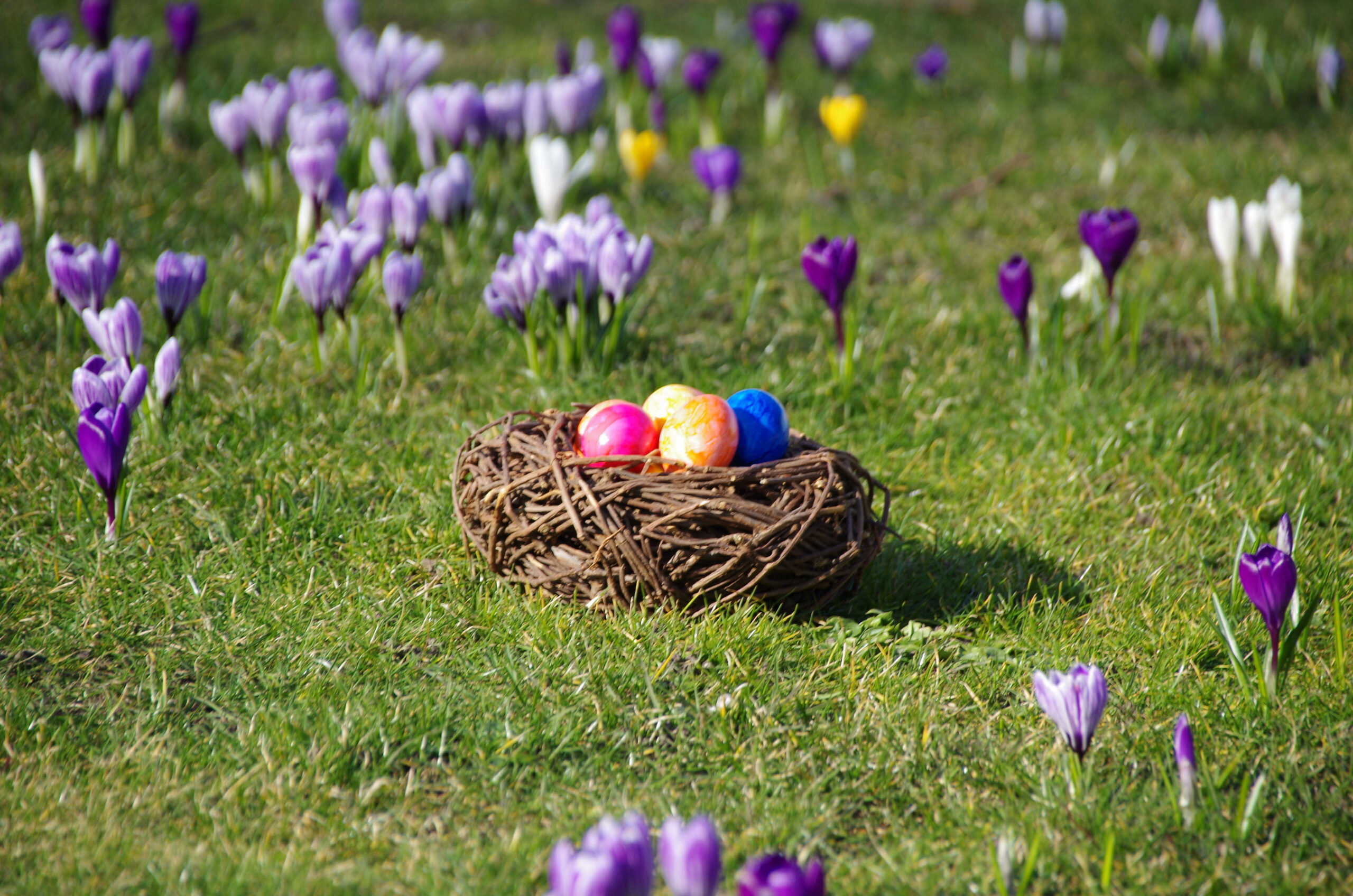 Ostern Sylt