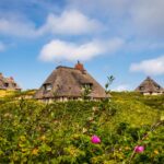 Reetdachhäuser in den Dühnen von Sylt