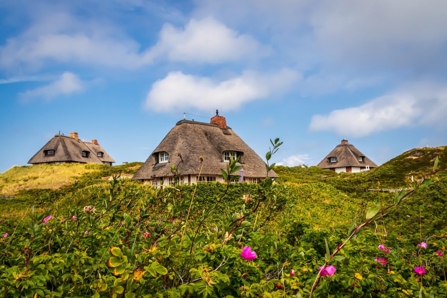Reetdachhäuser in den Dühnen von Sylt