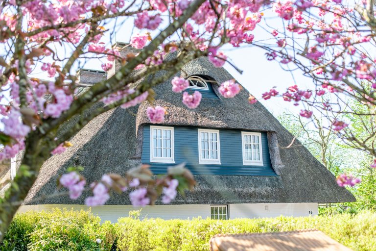 Ferienhaus in Ferienhaus auf Sylt