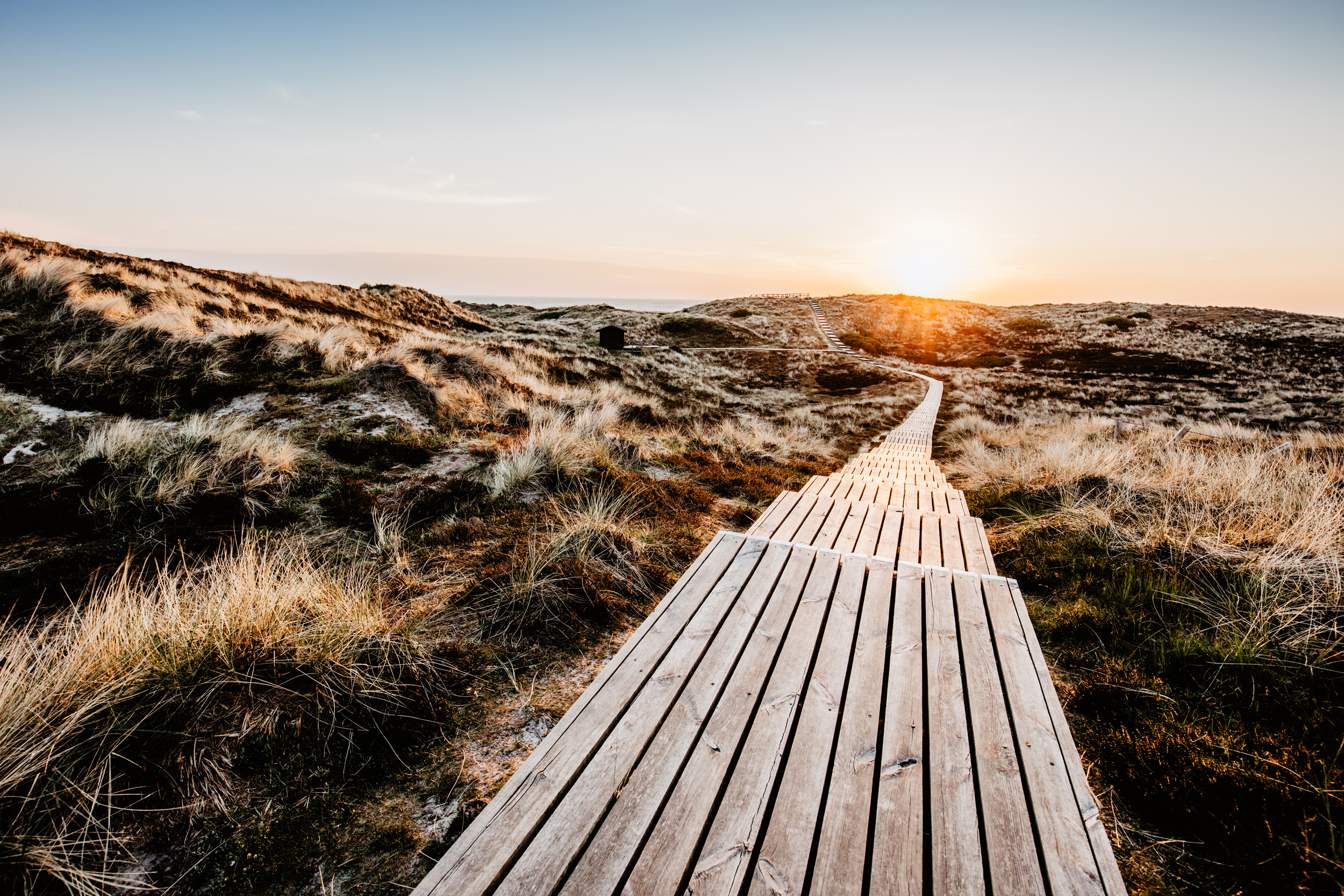 Steg in den Dünen auf Sylt