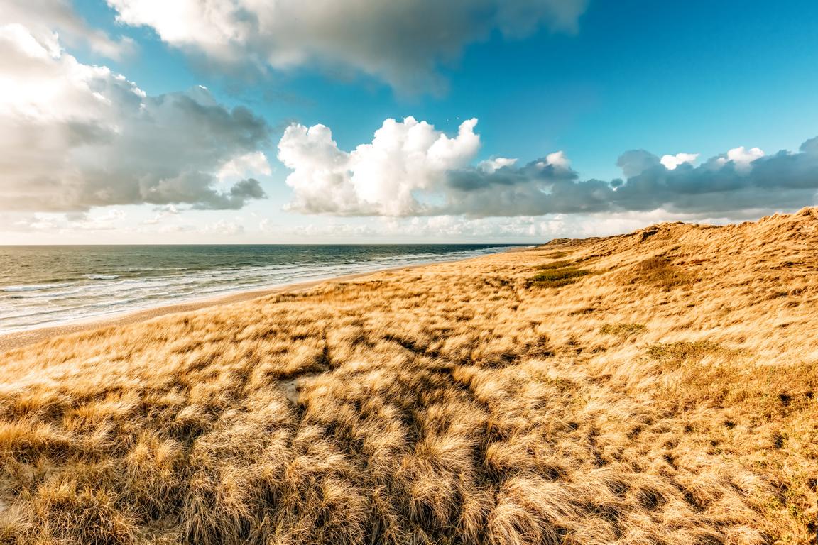 Dünen Sylt