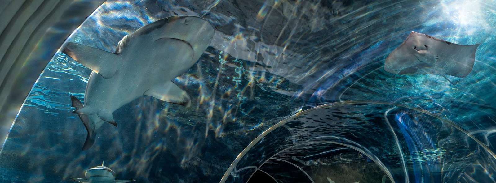 Aquarium