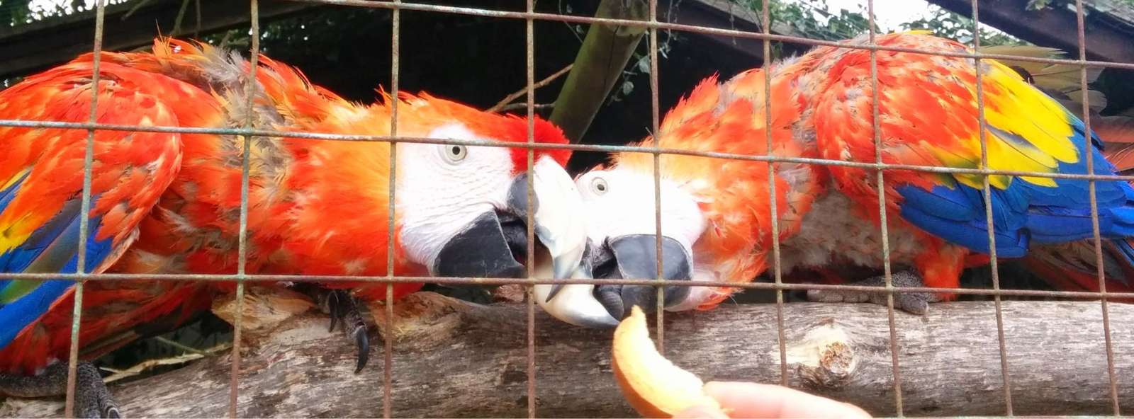 Tierpark Sylt