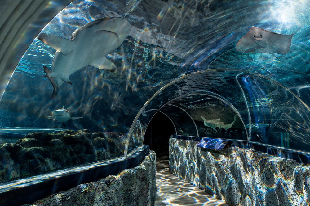 Aquarium