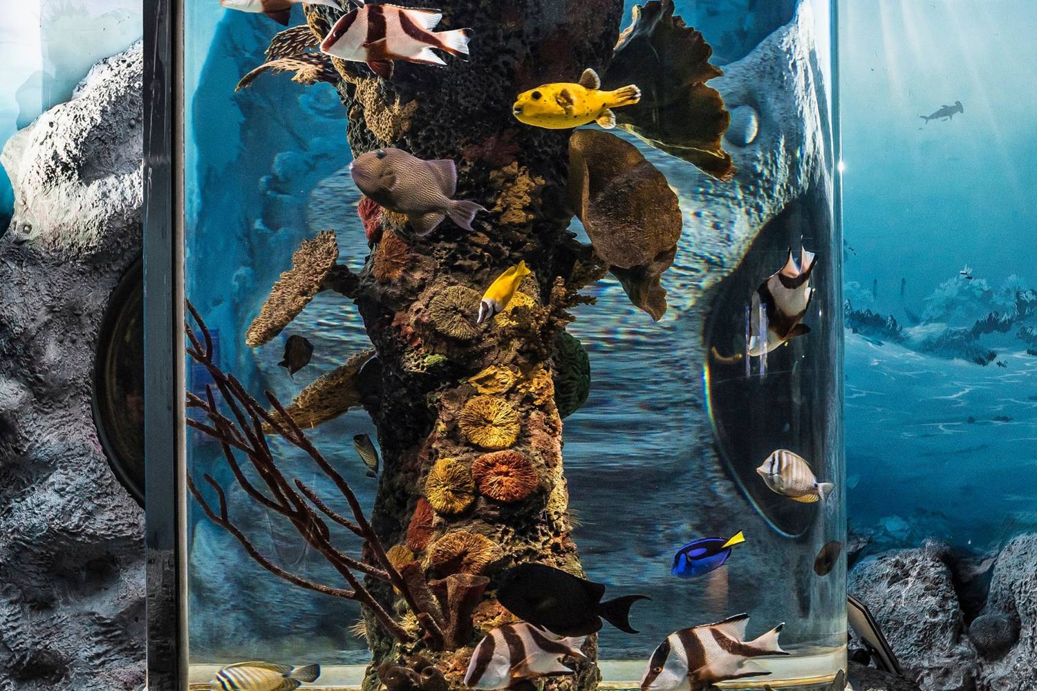 Aquarium