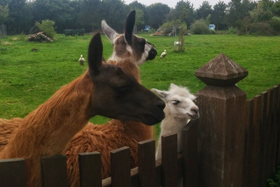 Tierpark Sylt