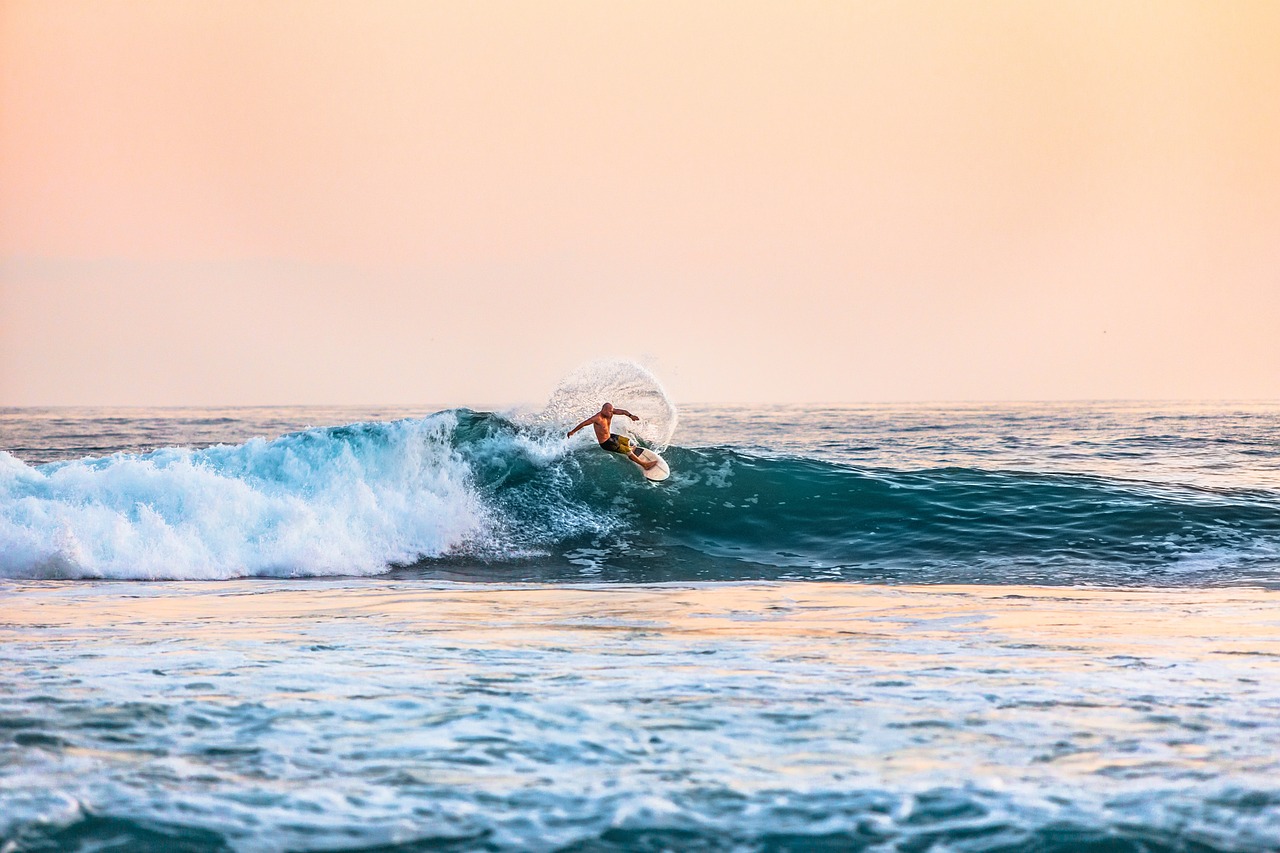 Surfer
