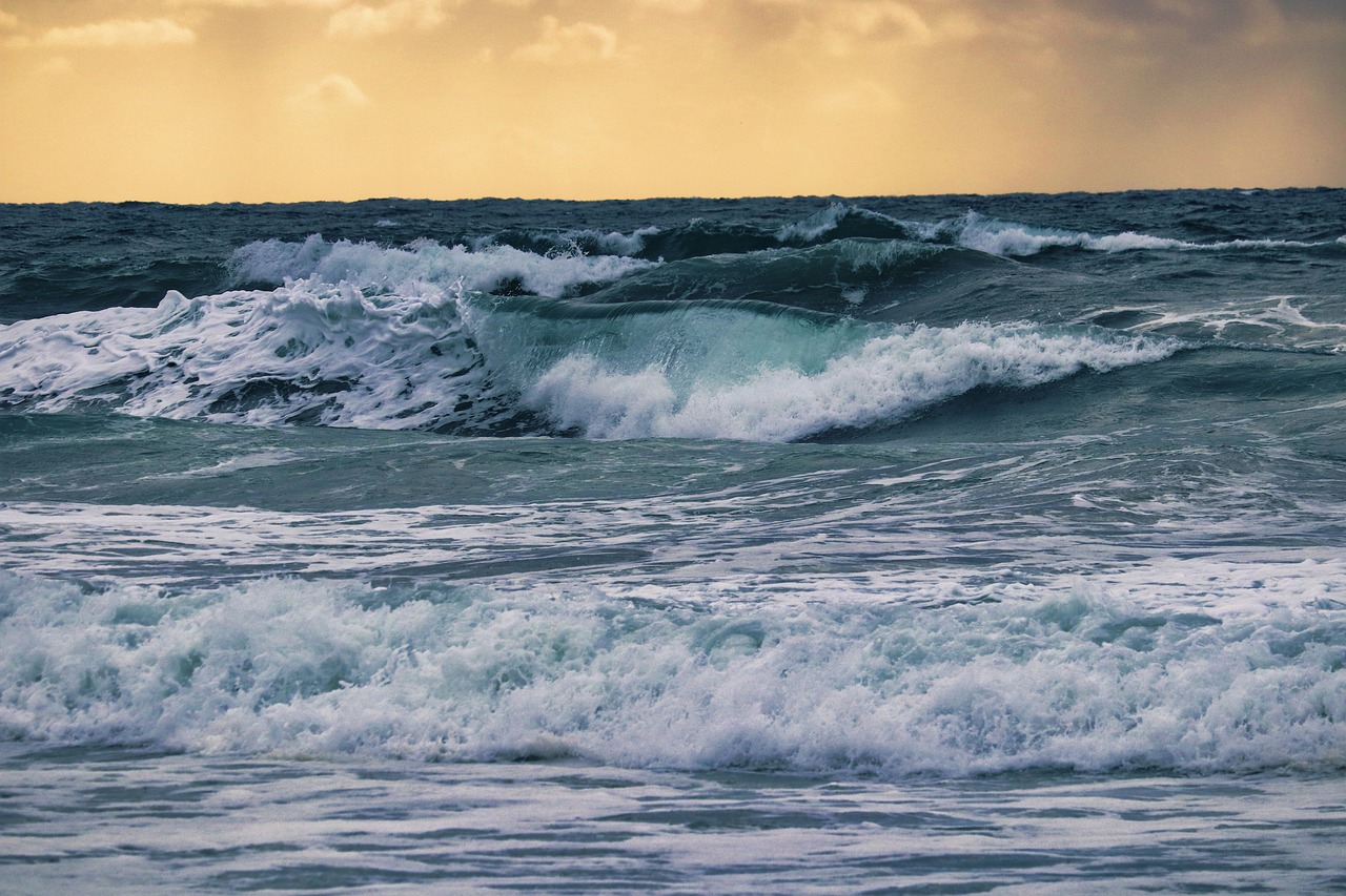 Kräfte der Nordsee