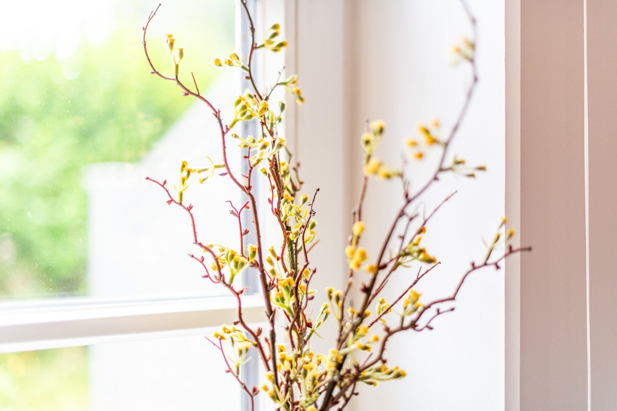 Blumen in Ferienhaus auf Sylt