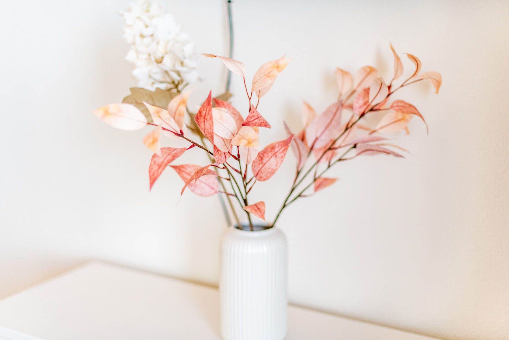 Blume in Ferienwohnung auf Sylt