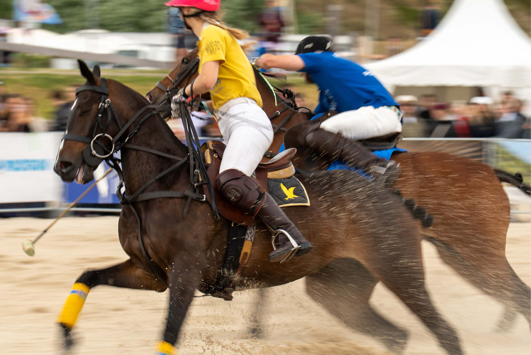 Beach Polo