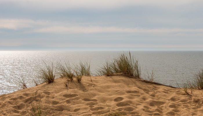 beach-3473675_1280