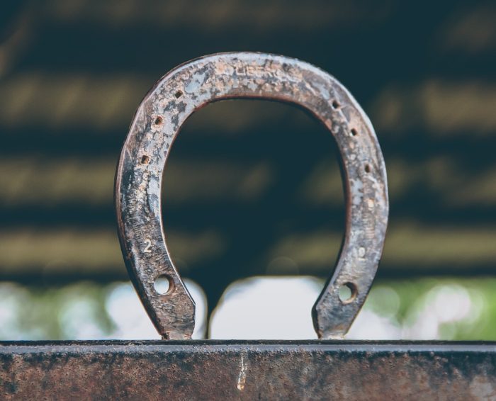 horseshoe-6282055_1280